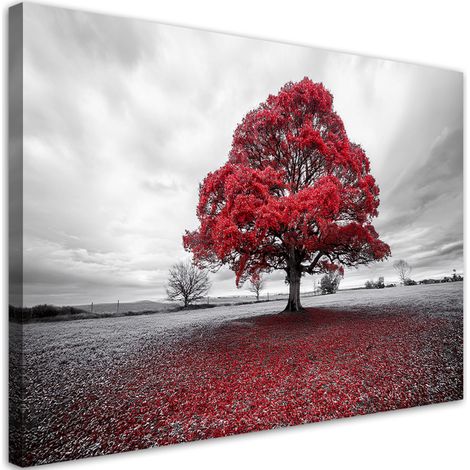 Tableau déco Paysage d'arbres rouges 100x70 (1/5)