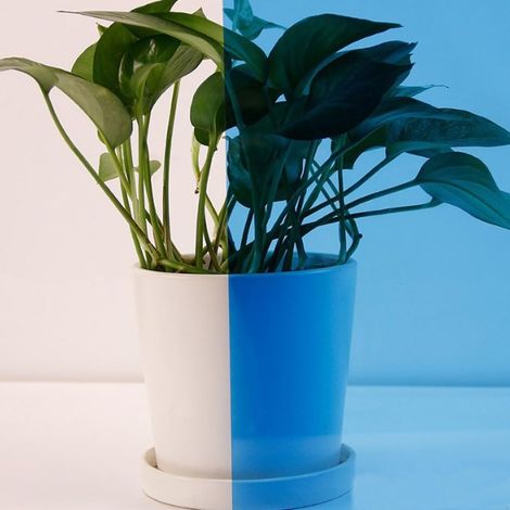 Film autocollant pour vitres de voiture PET coloré clair 40 x 100 cm 100 cm 40 x Bleu Transparent (1/5)