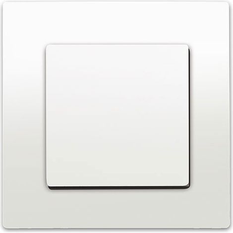 Va et Vient Blanc Delta Viva + Plaque Blanc