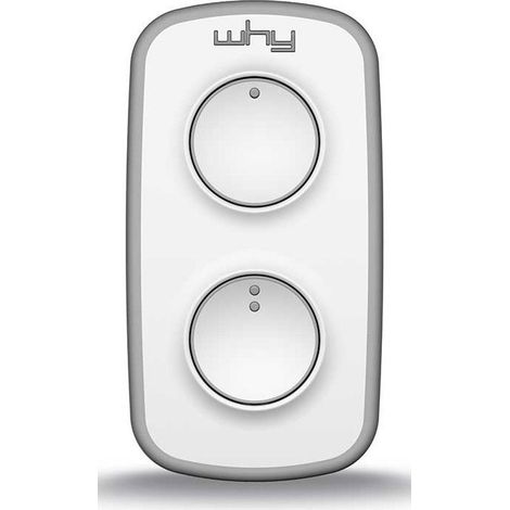 Radiocomandi Multifrequenza Mini Why-Evo 2+2 Grey (1/2)