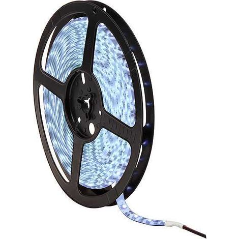 Módulo lineal 300LED 5M IP64 3528 6400K (1/3)