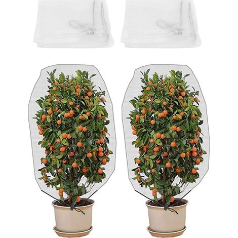 2 Filets Barrière Anti-Insectes pour Fruits, Plantes et Arbres – Protection pour Serre et Jardin,de DEBUNS (1/5)