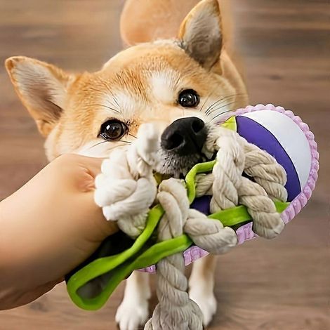 Hundepantoffel aus Stoffseil mit Knoten, ungiftiges Beißspielzeug für kleine bis mittelgroße Hunde, mit oder ohne Quietschgeräusch, mit Aufhängeschlaufe für Zerrspiele und Zahnreinigung (1/5)
