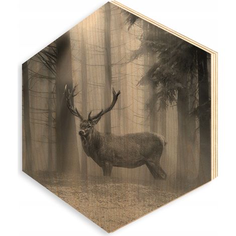 Bild auf Sperrholz, Holz, HEXAGON, 30x35cm, SP660 (1/5)