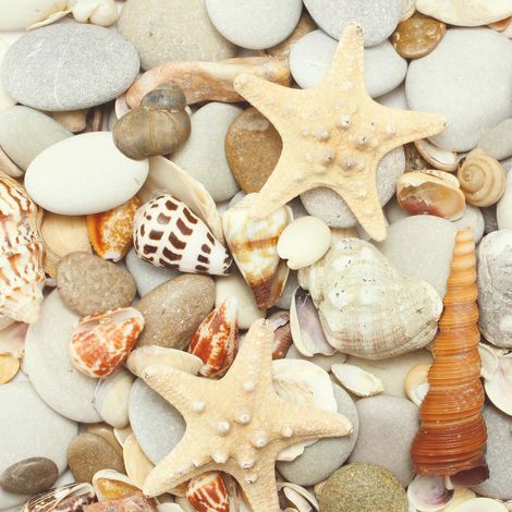 Tableau bord de mer gris beige & orange | Tableau plage avec coquillages & galets | Tableau sur toile salle de bain & couloir 0,5 x 0,5 m (1/2)