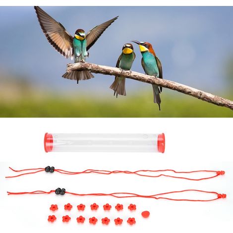 Mangeoire pour Oiseaux Tube Transparent Suspendue Horizontalement de 30cm pour Colibris avec Ports Fleuris et Ropes de Fixation (1/5)