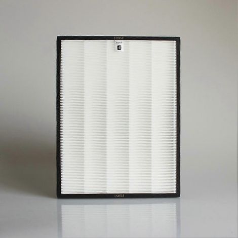 Set de filtres pour purificateur d'air – HEPA et charbon actif, haute efficacité (1/2)