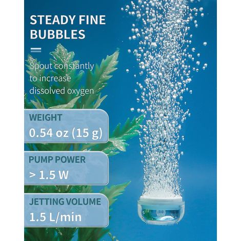 Diffuseur d'Air Aquarium Cloche Bulleur Oxygénateur avec Ventouse Valve de Retenue et Régulateur de Débit pour Nano Aquarium Bassin Seau (1/5)