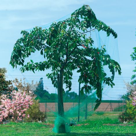 RETE ANTIUCCELLI PER IL GIARDINO 4X6M