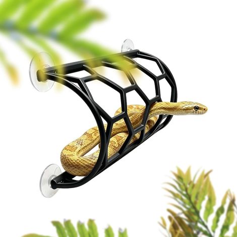 Décoration Serpent Terrarium Cachette en nid d'abeille avec Fixation par (1/5)