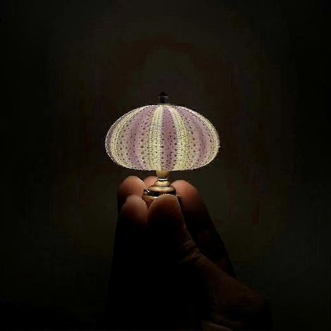 Lampe d'ambiance coquillage fait main, veilleuse océanique créative pour décoration marine et intérieur bohème. (1/2)