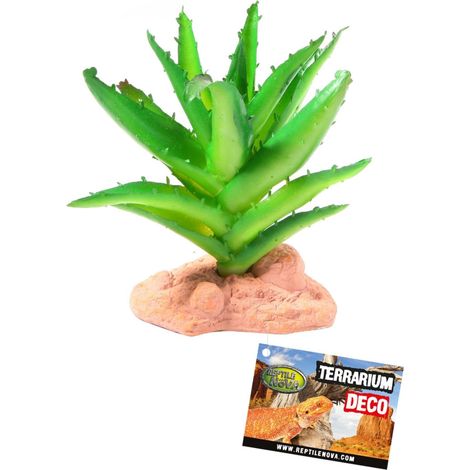 Terrario artificiale Reptile Nova con pianta di cactus e agave, 13 cm (1/2)