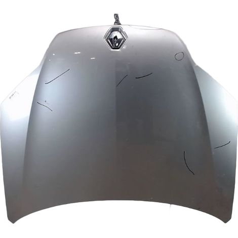 Capot RENAULT Laguna III 2009- [PRODUIT D'OCCASION]♻️651000021r (1/5)