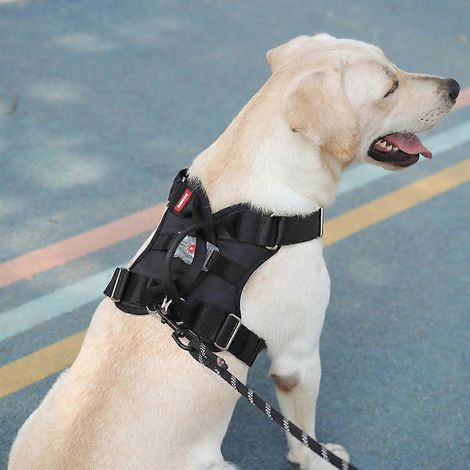 Harnais lumineux pour chien anti-traction à LED avec poignée - Taille L - Kaki (1/4)