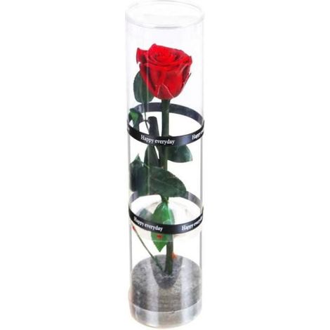 Fleur artificielle conservée - - Rose éternelle - Rouge - Sans entretien - Cadeau idéal (1/5)