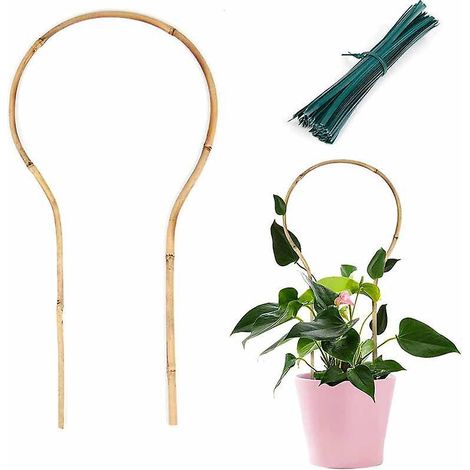 support De Plantes En Bambou En Forme De U - 40cm Pour Plantes Grimpantes D'intrieur, Support De Lierre, Treillis En Bambou Pour Plantes (1/3)