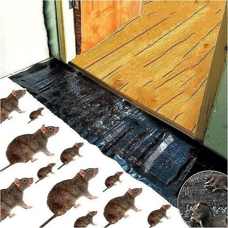 piege-a-colle-pour-souris-et-rongeurs-discret-et-efficace-pour-maison-et-bureau-236186821 (1/4)