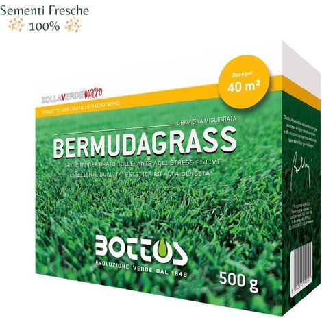 BOTTOS - BERMUDAGRASS / 500 g - Sementi per prato Macroterme