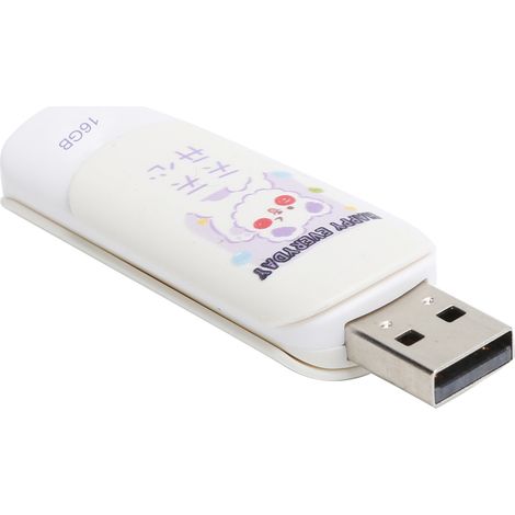 Clé USB 2.0 avec Capuchon Coulissant pour Stockage et Transfert de Données (16GB) (1/5)