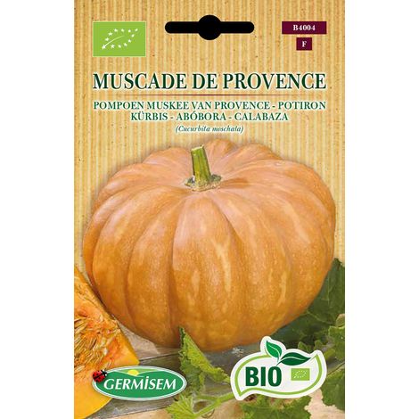 Graines Potiron MUSCADE DE PROVENCE