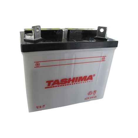 Batterie Tashima Blei Für Rasentraktor 12V, 18Ah. L: 195, B: 130 H: 185 mm, + links. (ohne Säure geliefert). - Batterie an