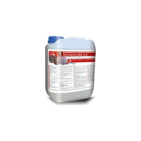 Technichem Technicure CS B202 Neutralisateur de sels et traitement anti-salpêtre pour murs 5L