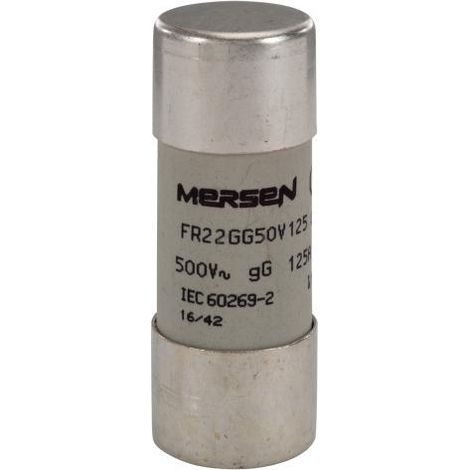 Fusibile BT gG 22×58 500VAC125A ELTFR22GG50V125 per protezione linee