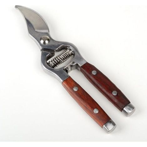 Sécateur professionnel à lames croisées, manche en bois, acier inoxydable, sécateur de jardin, sécateur à rosiers, traité thermiquement, poli miroir, sécateur manuel de 20 cm. (1/4)