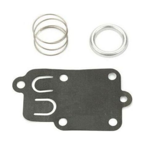 Membrane Carburateur - Pour Moteurs Briggs Et Stratton 3 A 5 Cv - Tondeuses Et Motobineuses - 1 Piece (1/4)