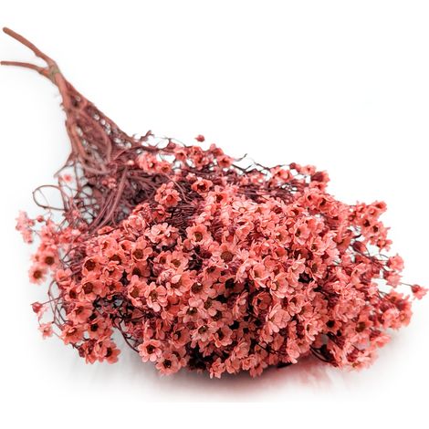 Oxodia Salmón Seco