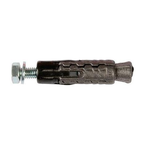Cheville Fonte Gm 8 Boite De 50 Avec Vis 18713 (1/5)