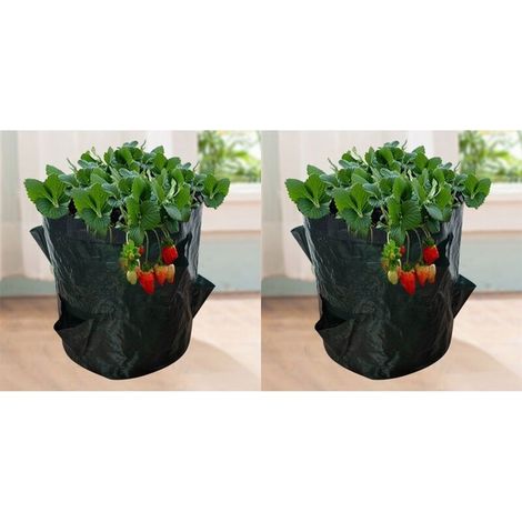 Sacs de Culture pour Fraise. 2PCS 18L/5 Gallons Sac de Legumes. Tissu Non-tissé Sac de Plantation avec Fenêtre. Sac de Legumes de Jardin (23X28CM (4 ports)) (1/5)