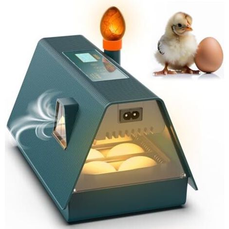 Incubateur entièrement automatique - Idéal pour tous les âges - Incubateur pour poulets avec retournement des œufs et contrôle de l'humidité - Lampe à œufs intégrée - 10 œufs - Okkobi M10 - Vert et or