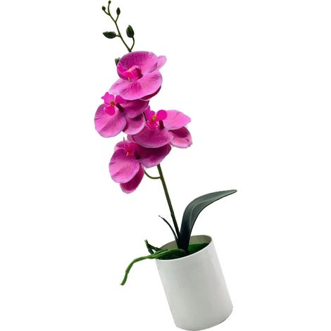 Ornements Phalaenopsis Simulation polyvalente innovante, vive et amusante, ornements de bonsaï d'orchidée fabriqués à la main pour salon, bur (1/5)
