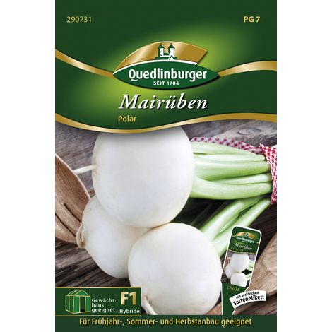 Quedlinburger Saatgut – Navets de mai Polar F1 – Graines de légumes, hybride, navet primeur au goût doux (1/2)