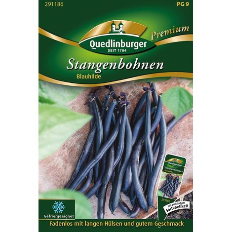 Quedlinburger Stangenbohne Blauhilde - Premium Gemüsesamen (1/2)