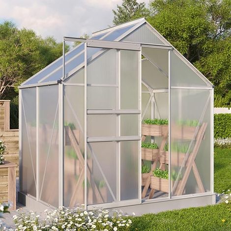 Serre de jardin Comet en polycarbonate 4 mm avec base, Long 3.21 m, Couleur Aluminium