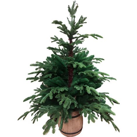 Albero di Natale con vaso, in PE Effetto Real Touch h 130 cm -130 cm (1/2)
