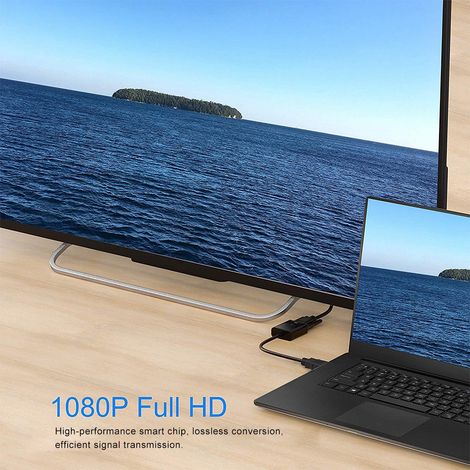 Câble DisplayPort vers VGA 25 cm, adaptateur vidéo haute définition 1080P (1/5)