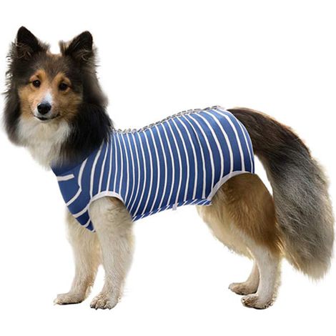 Traje de recuperación, botones a presión, modal transpirable, camiseta quirúrgica, perro/gato macho/hembra (1/5)