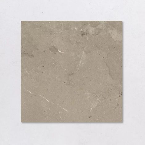 Carrelage Intérieur Effet Pierre MYSTONE LIMESTONE 60x60 cm Taupe Mystone (1/5)