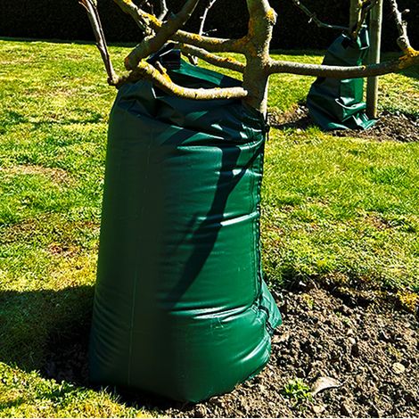 Baumbewässerungssack, Bewässerungssack, Baum Bewässerung - 77 Liter (1/3)