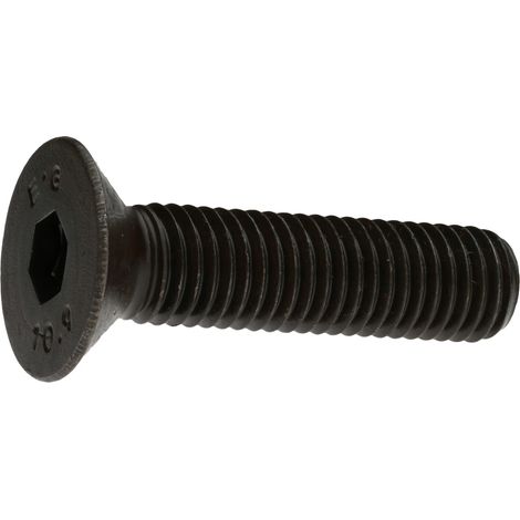Reidl ISO 10642 Senkschrauben, Innensechskant M 20 x 220, 10.9 blank
