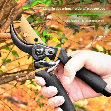 Sécateur SK5 à revêtement titane, outil de jardinage sans effort, idéal pour les arbres fruitiers, les fleurs et les plantes en pot (1/5)