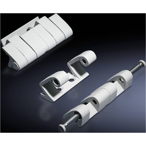 N/A Rittal 8800.190 Zinc moulé sous pression gris clair (RAL 7035) 4 pc(s)