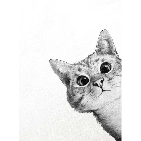 Tableau animaux chambre enfant | Tableau chat noir & blanc pour déco salon moderne | Tableau sur toile chambre de garçon 0,5 x 0,7 m (1/2)