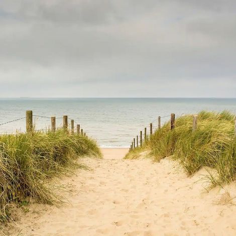 papier peint panoramique plage sable beige - Sanders & Sanders (1/5)