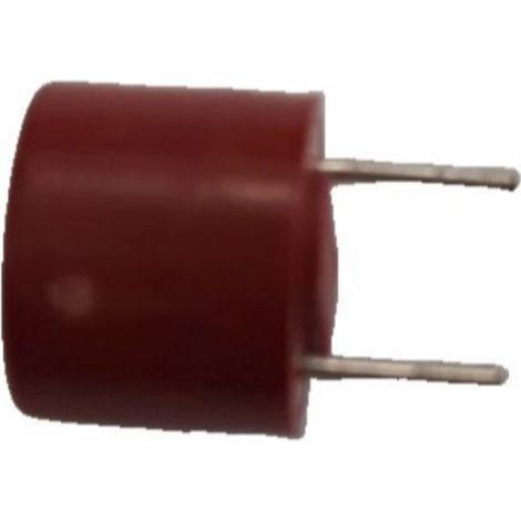 Fusible temporizado TR5 2A
