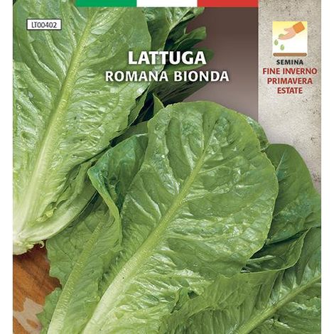 SEMI ORTO "LATTUGA ROMANA BIONDA" - CF. BUSTA 5 GR.