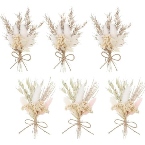 6 Pièces Mini Bouquet Fleurs Séchées, Mini Fleurs Séchées pour l'artisanat, Petit Bouquet pour Cadre Photo DIY, Décoration de Fête à Domicile et de Mariage (1/5)